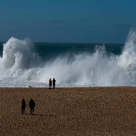 Donacamo Charming House Διαμέρισμα Ναζαρέ